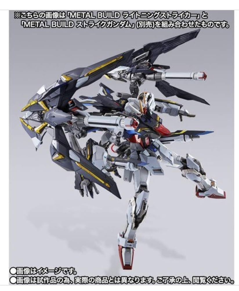 SF・ファンタジー・ホラー L BUILD P2040X LIGHTNING STRIKER Amazon.com: METAL BUILD Lightning Striker (Alternative